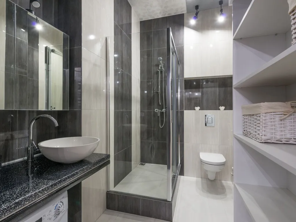 professional toilet installation Sun City