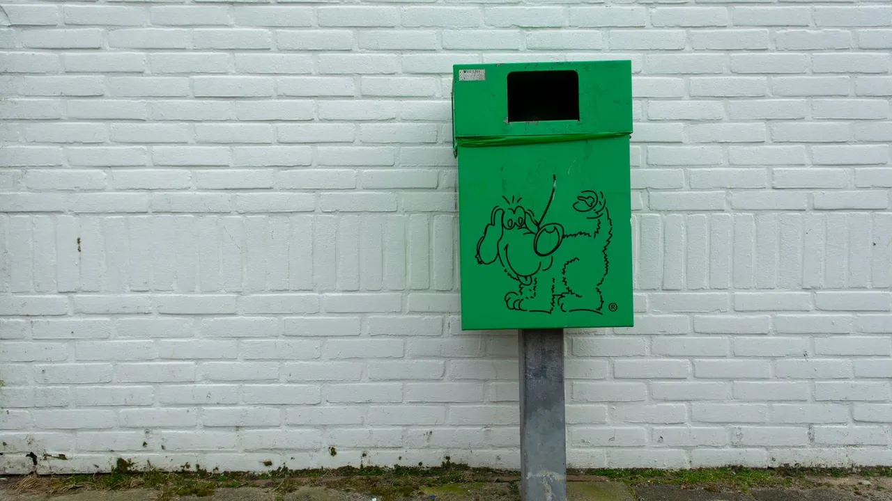 garbage disposal installation near me