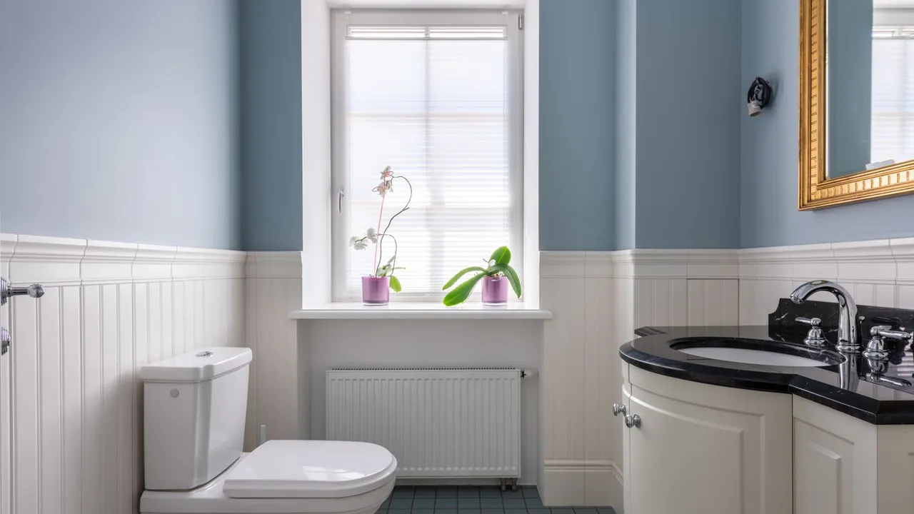 toilet replacement